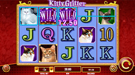 Kitty Glitter Features