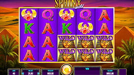 Sphinx Wild Online Slots Available at 888casino