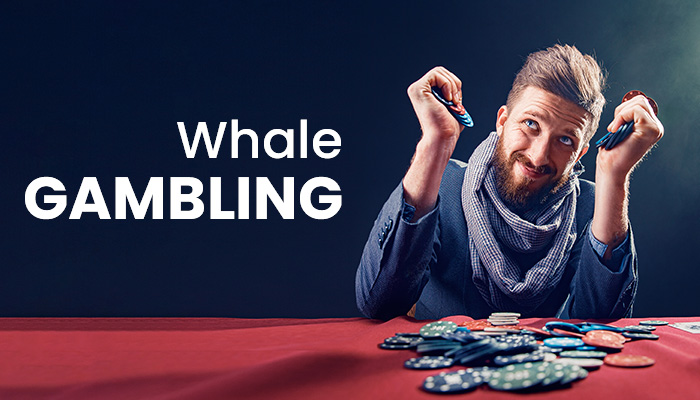What Is Whale Gambling.