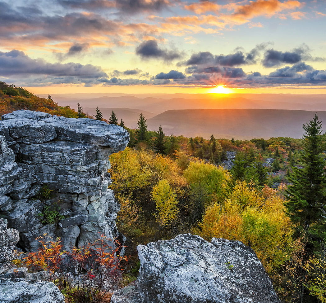 Dolly Sods Wilderness West Virginia.jpg