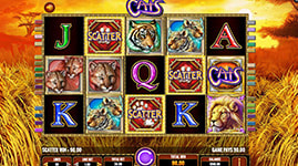 Cats Free Spins