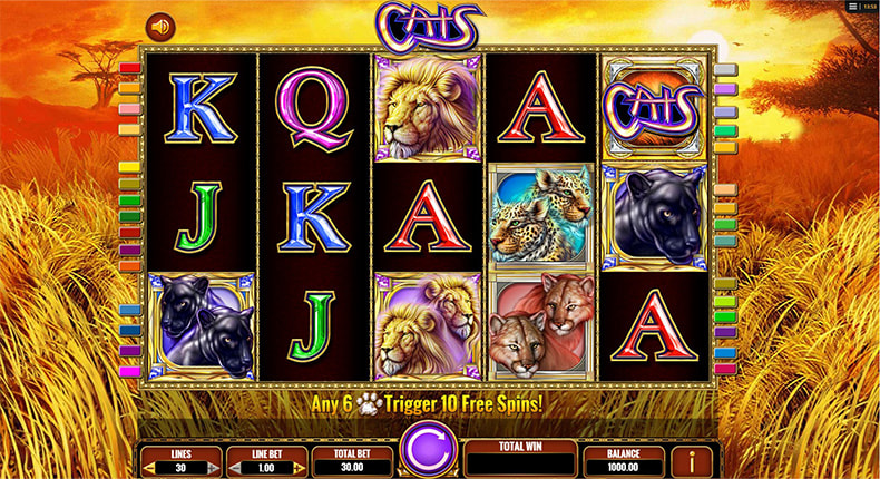 Free Demo Version of the Cats Online Slot