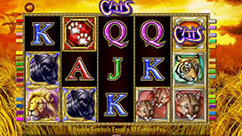 Cats online slot available at Jackpot City Casino in PA