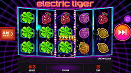 Electric Tiger Bonus Round