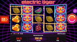 Electric Tiger Feature