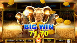 Elephant King Bonus Round