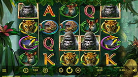 Gorilla Kingdom Online Slots Available at Stars Casino