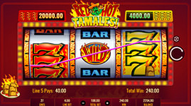Red Hot Tamales Payout