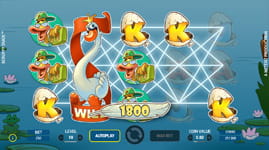 Scruffy Duck Free Spins Multiplier