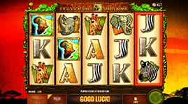 The Wild Life Free Spins