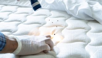 A Person in White Gloves and a Flashlight Pointing at Bugs in a Bed